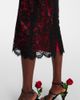 Dolce&Gabbana Dolce&Gabbana Cotton-blend lace midi dress - 5