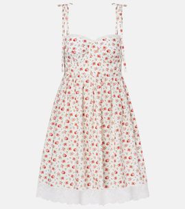 Dolce&Gabbana Dolce&Gabbana Floral lace-trimmed cotton-blend poplin minidress