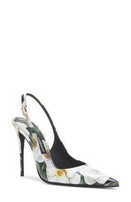 Dolce&Gabbana Dolce&Gabbana Gardenia Print Slingback Pump