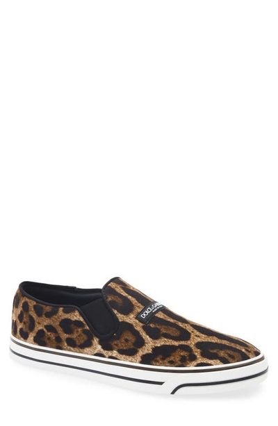 Dolce&Gabbana Dolce&Gabbana Leopard Print Canvas Sailing Sneaker