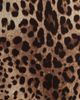 Dolce&Gabbana Dolce&Gabbana Leopard Print Silk Stretch Charmeuse A-Line Dress - 5