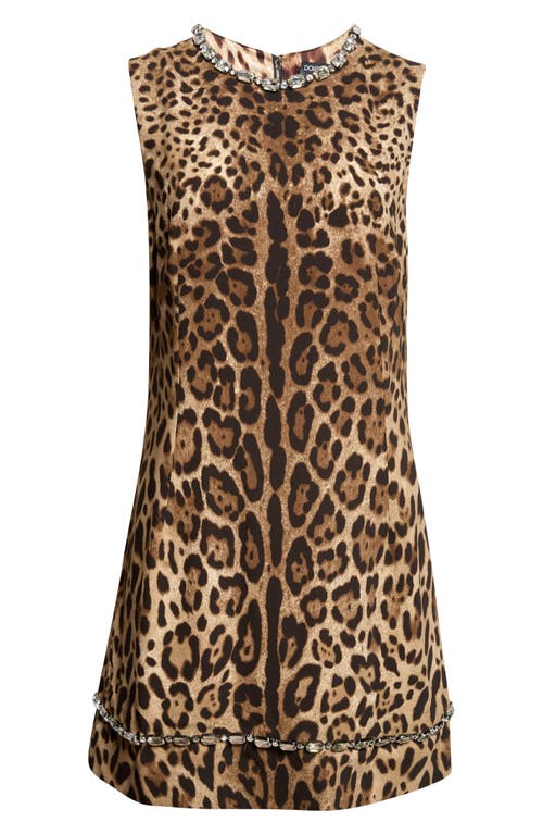 Dolce&Gabbana Dolce&Gabbana Leopard Print Stretch Cady Minidress