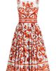 Dolce&Gabbana Dolce&Gabbana Majolica Print Cotton Poplin Sundress - 5