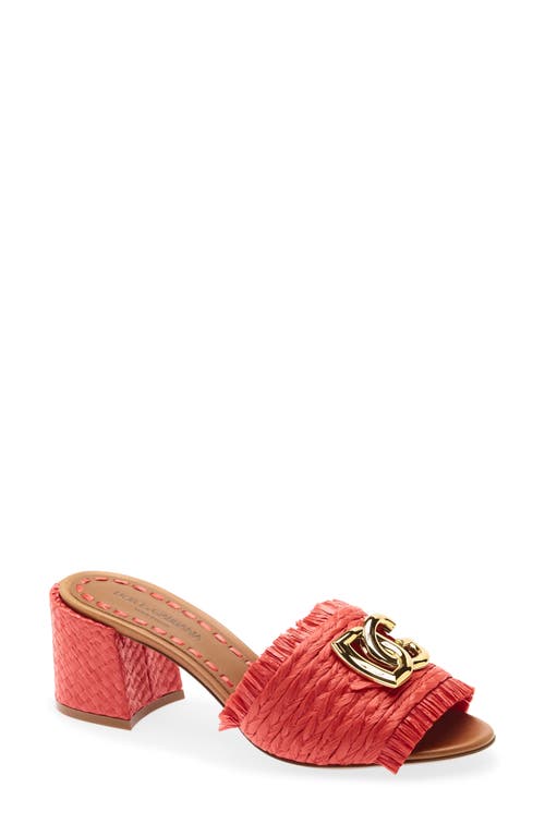 Dolce&Gabbana Dolce&Gabbana Raffia Fringe Slide Sandal
