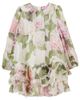 Dolce&Gabbana Kids Dolce&Gabbana Kids Floral ruffled silk chiffon dress - 1