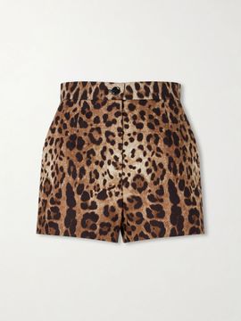 DOLCE&GABBANA Leopard-print high-rise cotton shorts