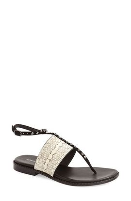 Donald Pliner Donald Pliner Donald J Pliner 'Lacy' Ankle Strap Sandal