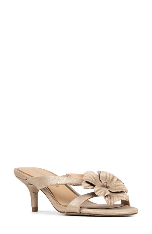 Donald Pliner Donald Pliner Peloma Sandal