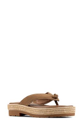 Donald Pliner Donald Pliner Samiya Thong Sandal