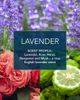 D.R. Harris D.r. Harris Lavender Luxury Lather Shaving Cream Bowl - 2