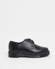 Dr Martens Dr Martens 1461 flat shoes in black mono - 1