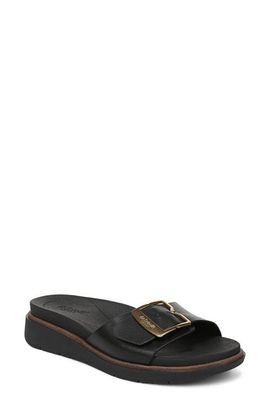 Dr. Scholl's Dr. Scholl's Paradis Buckle Slide Sandal