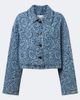 Dries Van Noten Dries Van Noten Floral denim jacket - 1