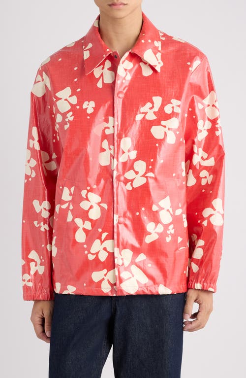 【美品】ドリスヴァンノッテン　Cotton Jacket Dries Van Noten - Vorries Print Coated Cotton Jacket