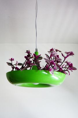 Dupe Dupe Planter Pendant Lamp in Green at Urban Outfitters