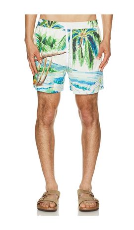 Duvin Design Duvin Design Postcard Swim Shorts