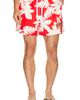 Duvin Design Duvin Design x Jimmy Buffett's Margaritaville Beach Club Swim Short - 1