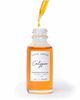 Earth Harbor Earth Harbor Calypso Vitamin C Moisture Elixir 1oz - 3
