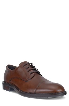 ECCO ECCO Metropole Prague Cap Toe Derby