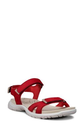 ECCO ECCO Offroad Roam Sandal