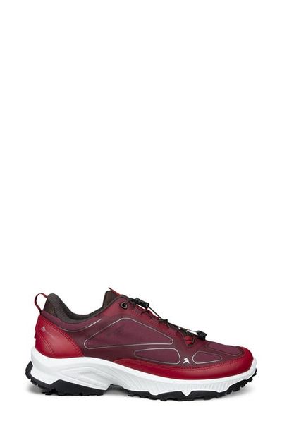 ECCO ECCO Receptor XP Gore-Tex Waterproof Running Shoe
