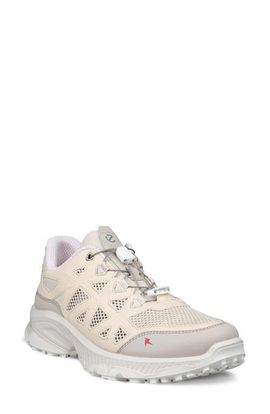 ECCO ECCO Receptor XP Water Resistant Sneaker