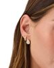 Ef Collection Ef Collection 14K Yellow Gold Diamond Hoop Earrings, 0.3 tcw - 2