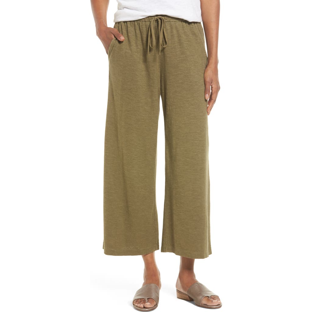 Eileen Fisher Eileen Fisher Hemp & Organic Cotton Wide Leg Pants