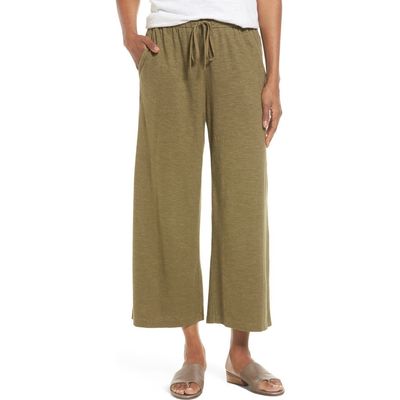 Eileen Fisher Eileen Fisher Hemp & Organic Cotton Wide Leg Pants