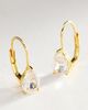 Electric Picks Astor Earrings - 1