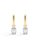 Electric Picks Electric Picks Dynasty Hoops - 1