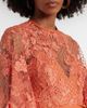 Elie Saab Elie Saab Embroidered lace and tulle gown - 4