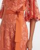 Elie Saab Elie Saab Embroidered lace and tulle gown - 5