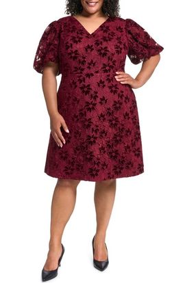 Eliza J Eliza J Lace & Velvet A-Line Dress