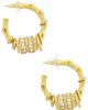 Elizabeth Cole Elizabeth Cole Tinsley Earrings - 2