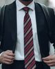 Elizabetta Elizabetta Vesuvio - Silk Jacquard Tie for Men - 2