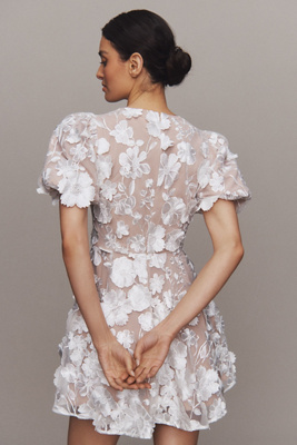 Elliatt Dresses Elliatt Dresses