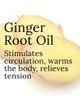 elvis+elvin elvis+elvin Ginger Body Oil - 3