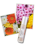 elvis+elvin elvis+elvin Marine Floral Perfume Oil - 3