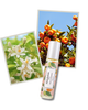 elvis+elvin elvis+elvin Neroli & Mandarin Perfume Oil - 5