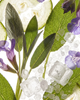 elvis+elvin elvis+elvin Sage & Sea Salt Eau de Parfum - 3