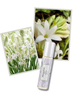 elvis+elvin elvis+elvin Tuberose Perfume Oil 15 ml - 4