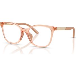 Emporio Armani Emporio Armani 48mm Butterfly optical glasses