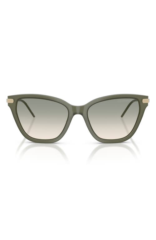 Emporio Armani Emporio Armani 54mm Gradient Cat Eye Sunglasses