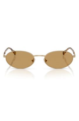 Emporio Armani Emporio Armani 54mm Oval Sunglasses
