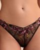 Etam Etam Nova Embroidered Tulle Tanga Panties - 3