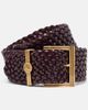 Etro Etro Pegaso woven leather belt - 1