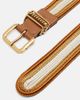 Etro Etro Striped woven belt - 3