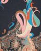 Etro Women's Boheme Paisley Printed Scarf - 4