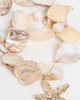 Ettika Ettika True Shell Bracelet Set Gold One - 4